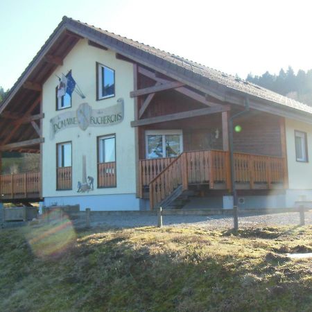 Chalet Du Bucheron Apartment Gerardmer Bagian luar foto